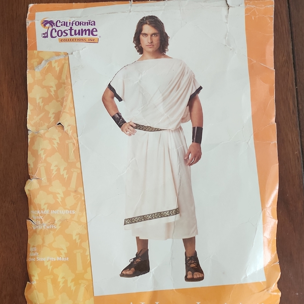 California Costumes Men's Deluxe Classic Toga Adult